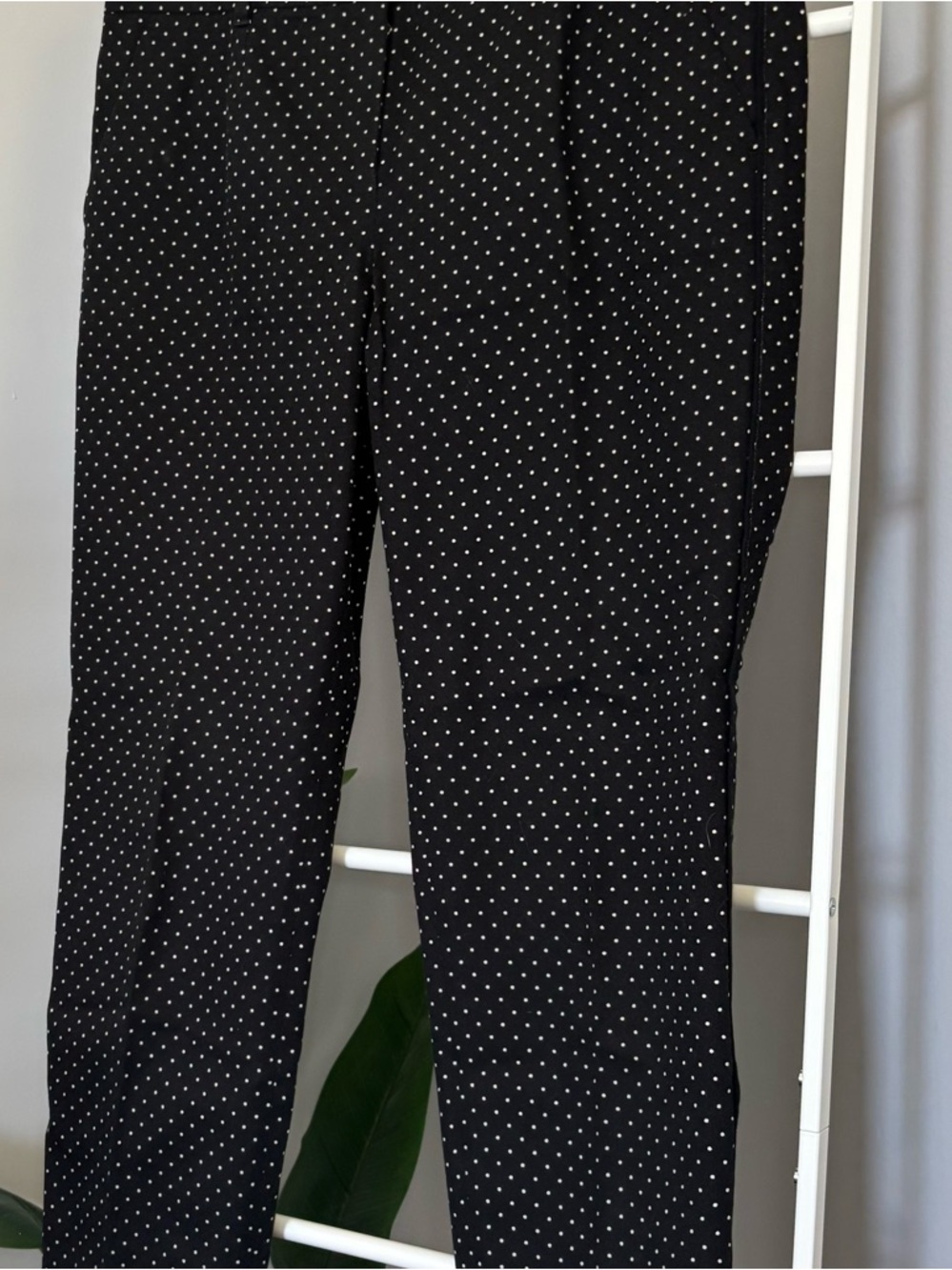 Dolce & Gabbana Black Polka Dot Pants - Picture 8 of 16